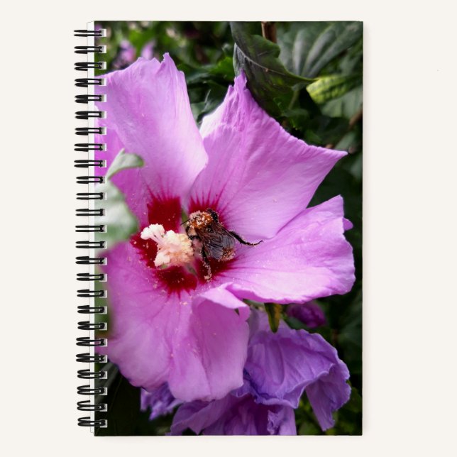 Hummeln auf Hibiskus Blume Notizbuch (Vorderseite)