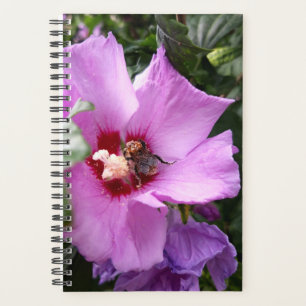 Hummeln auf Hibiskus Blume Planer
