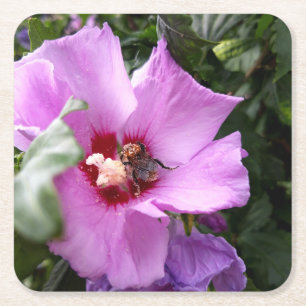Hummeln auf Hibiskus Blume Rechteckiger Pappuntersetzer