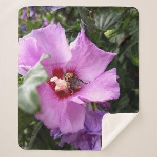Hummeln auf Hibiskus Blume Sherpadecke