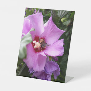 Hummeln auf Hibiskus Blume Sockelschild