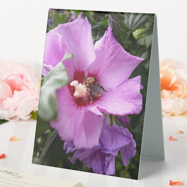 Hummeln auf Hibiskus Blume Tischaufsteller (In Situ (Hochzeit))