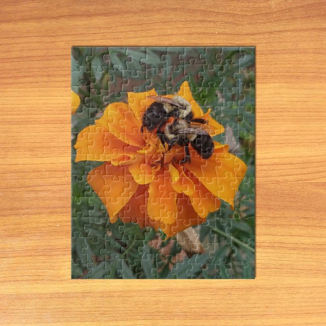 Hummeln auf Ringelblume (Bumblebees on Marigold Flower Jigsaw Puzzle on Table)