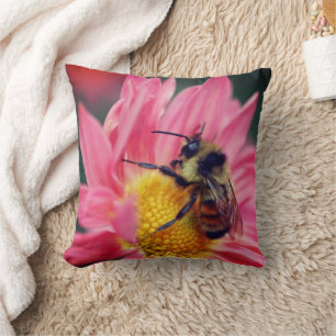 Hummeln auf rosa Daisy Blume Nah Kissen