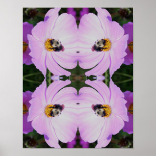 Hummeln auf rosa Kosmos Blume Abstrakt Poster