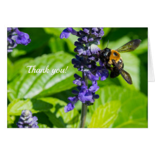 Hummeln auf Salvia Danke Karte