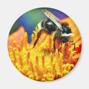 Hummeln Blumen Makro Magnet