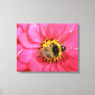 Hummeln Canvas Print Leinwanddruck