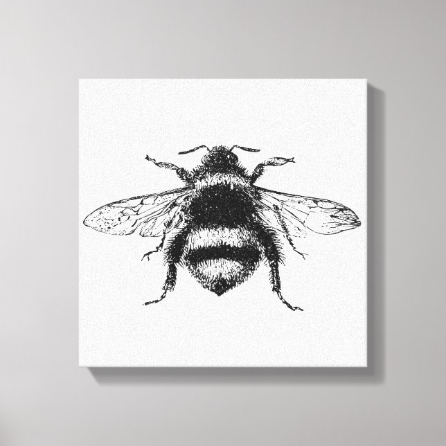 Hummeln Canvas Print Leinwanddruck (Vorderseite)