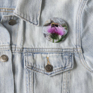 Hummeln ernten eine Lila Thristle-Blume Button