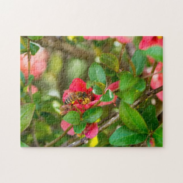 Hummeln und Azalea (Horizontal)