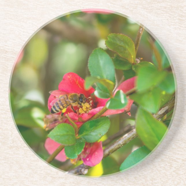 Hummeln und Azalea Getränkeuntersetzer (Vorne)