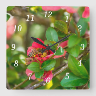 Hummeln und Azalea-Wall-Uhr Quadratische Wanduhr