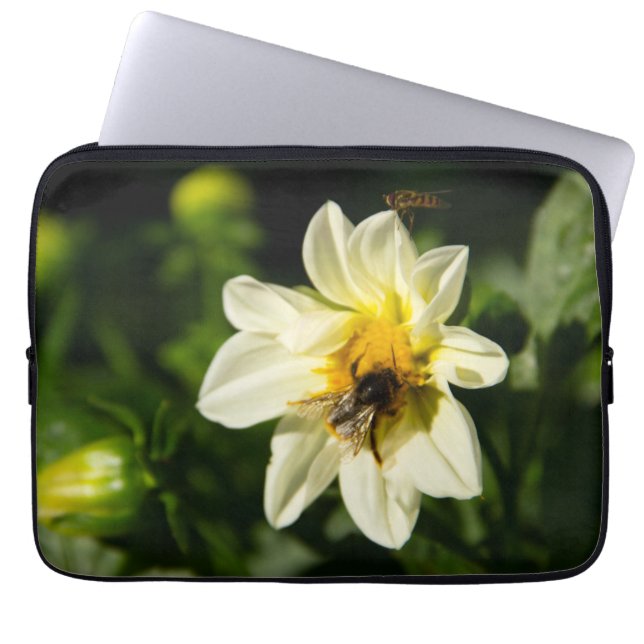 Hummeln und weißes Dahlia-Foto Laptopschutzhülle (Vorderseite)
