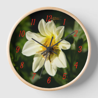 Hummeln und weißes Dahlia-Foto Uhr