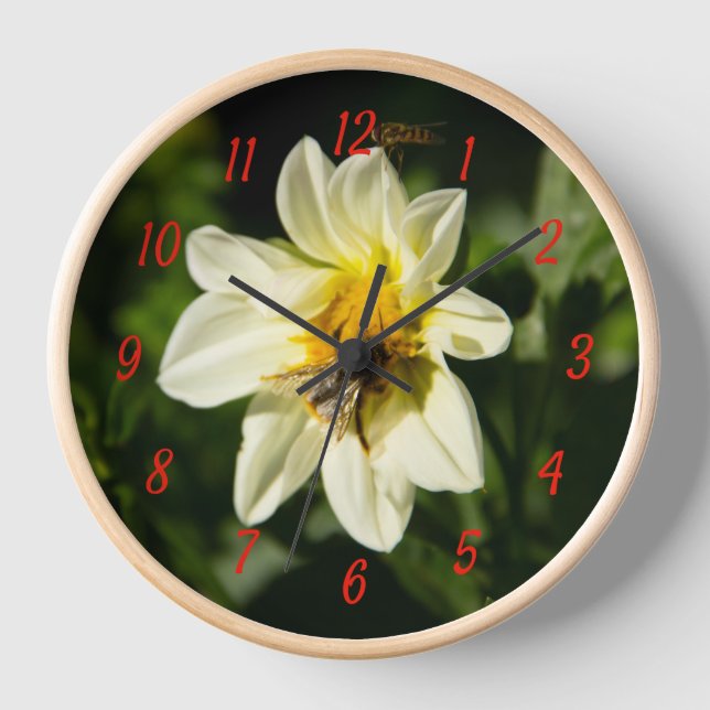 Hummeln und weißes Dahlia-Foto Uhr (Vorderseite)