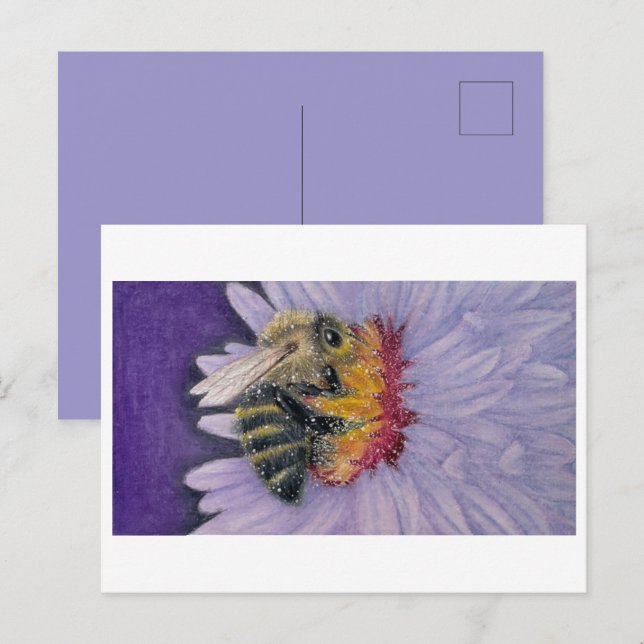 Hummelskizze drucken postkarte (Vorne/Hinten)