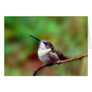 Hummer au repos
