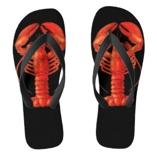 Hummer drehen Reinfälle um Flip Flops