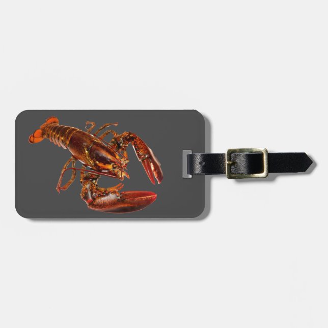Hummer Gepäckanhänger (Vorderseite horizontal)