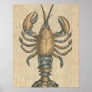 Hummer-Illustration Antik Maine Meeresfrüchte Poster
