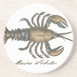 Hummer-Illustration Antik Maine Meeresfrüchte Sandstein Untersetzer
