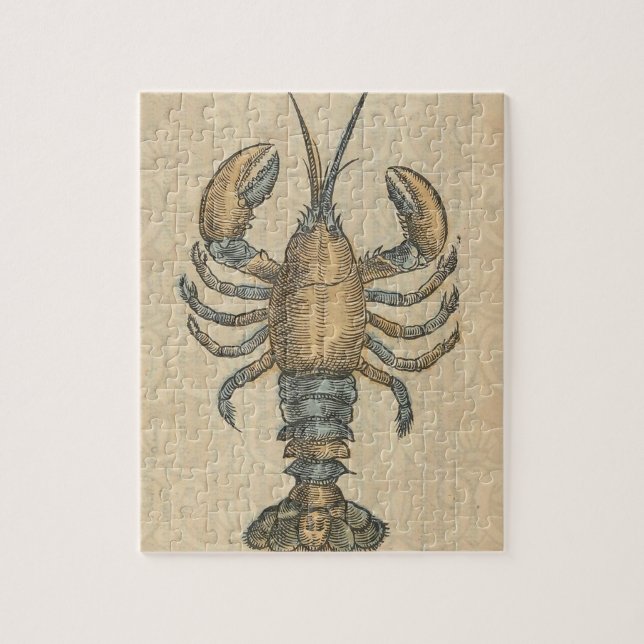 Hummer-Illustration Antique Maine Seafood (Vertikal)