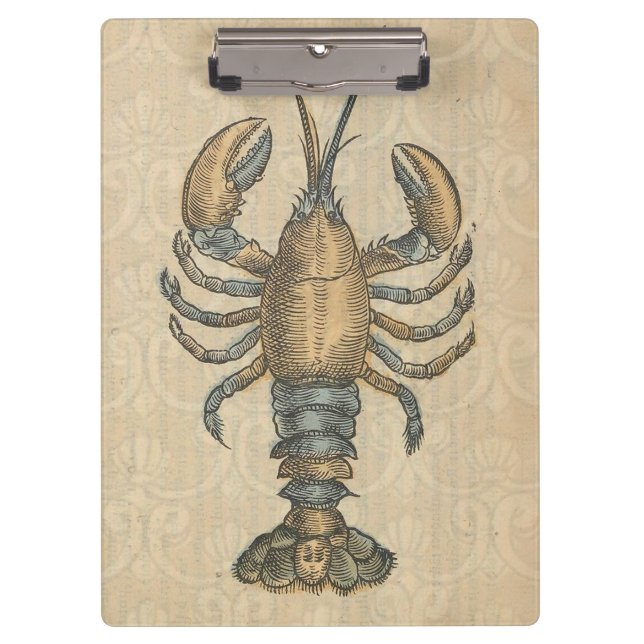 Hummer-Illustration Antique Maine Seafood Klemmbrett (Vorderseite)