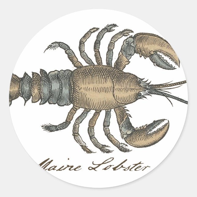 Hummer-Illustration Antique Maine Seafood Runder Aufkleber (Vorderseite)