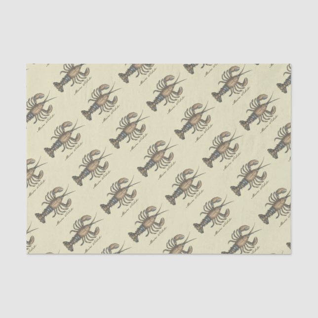 Hummer-Illustration Antique Maine Seafood Seidenpapier (Vorderseite)