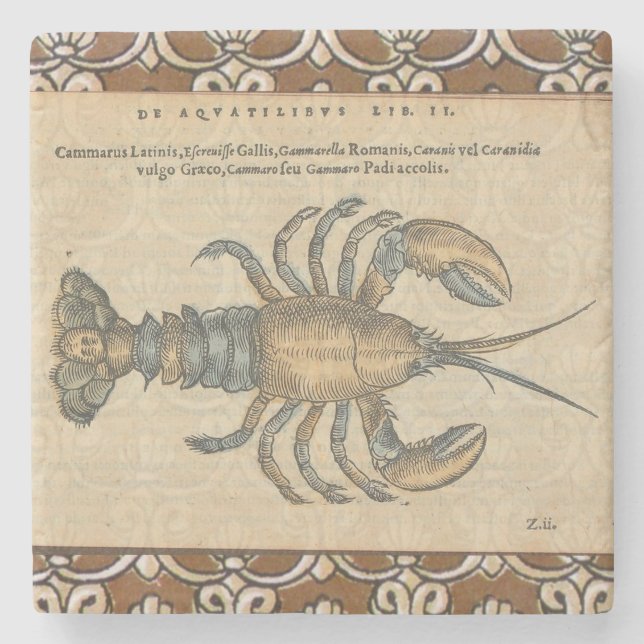 Hummer-Illustration Antique Maine Seafood Steinuntersetzer (Vorderseite)