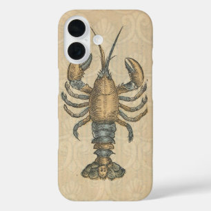 Hummer-Illustration Antique Maine Seafood title_seo2