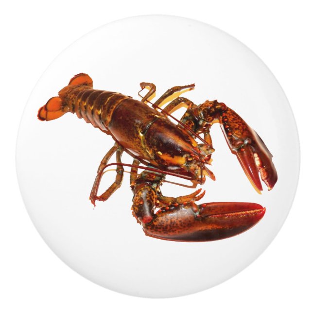 Hummer Keramikknauf (Vorderseite)