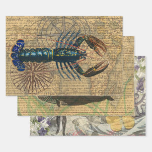 Hummer-Meeresfrüchte Maine Classic Ocean Geschenkpapier Set