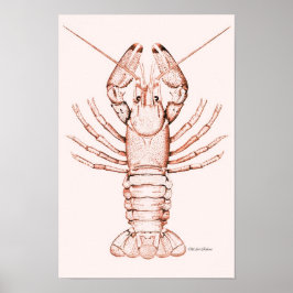 Hummer Poster ~ Fluss Cray Fish