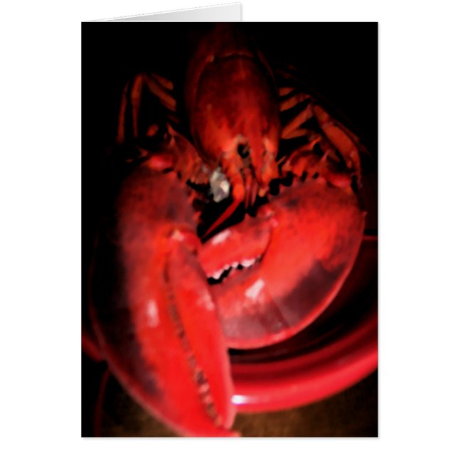 Hummerfotografie (Vorne)