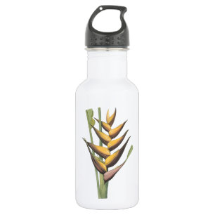 Hummerklaue (Heliconia demis) von Redouté Trinkflasche