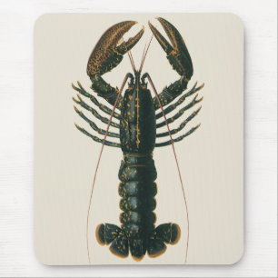 Hummerklauen Vintage Meeresleben Krustentier Mousepad