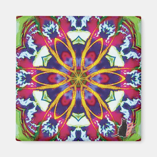 Hummers Magnet Kaleidoscope (Devant)