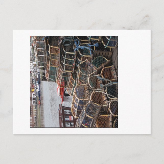 Hummertöpfe Postkarte (Vorderseite)