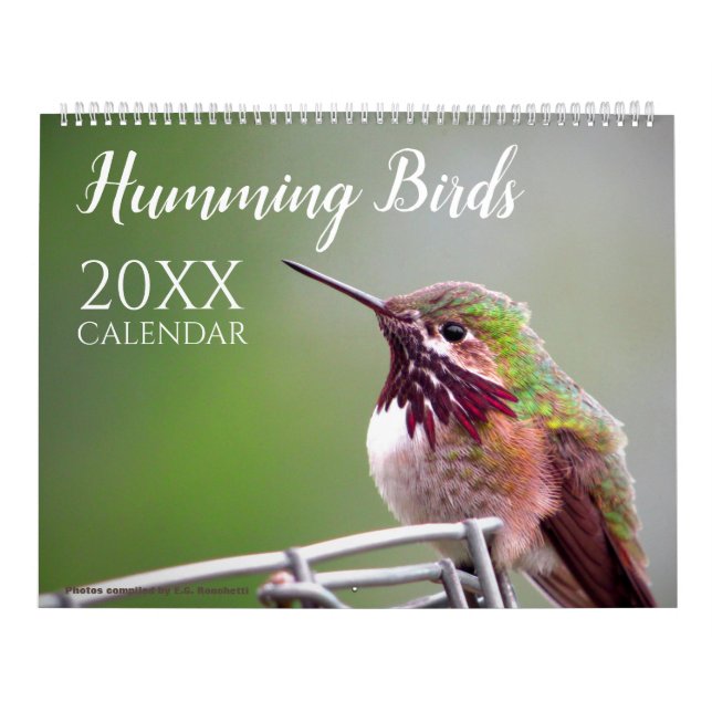 Humming Bird Calendar Nature Wildlife Photos Kalender (Titelbild)