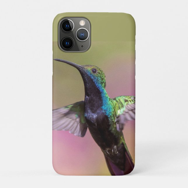 Humming Bird Case-Mate iPhone Hülle (Rückseite)