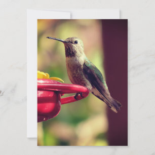Humming Bird für den Feeder Dankeskarte