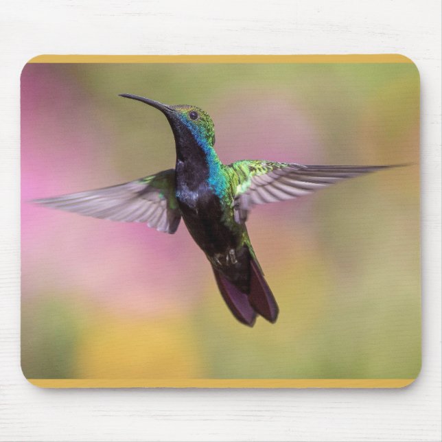 Humming Bird Mousepad (Vorne)