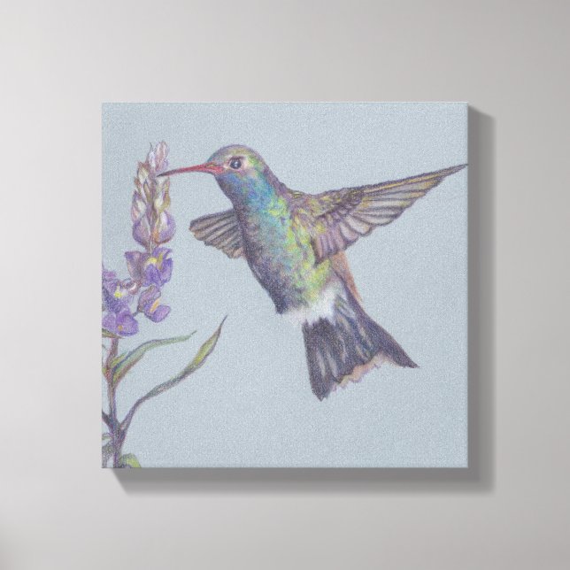Humming Bird Stretched Canvas Print Leinwanddruck (Vorderseite)