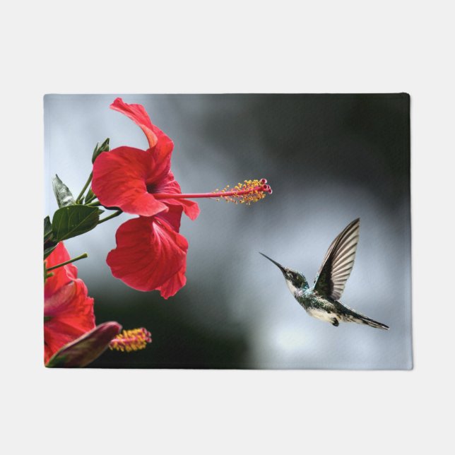 Humming Bird und Rote Blume Fußmatte (Vorderseite)