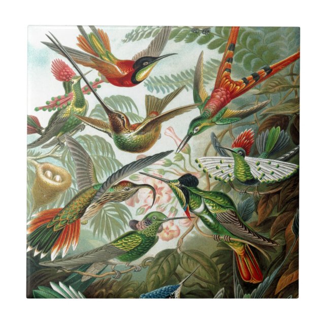 Humming Birds Paradise Art Fliese (Vorderseite)