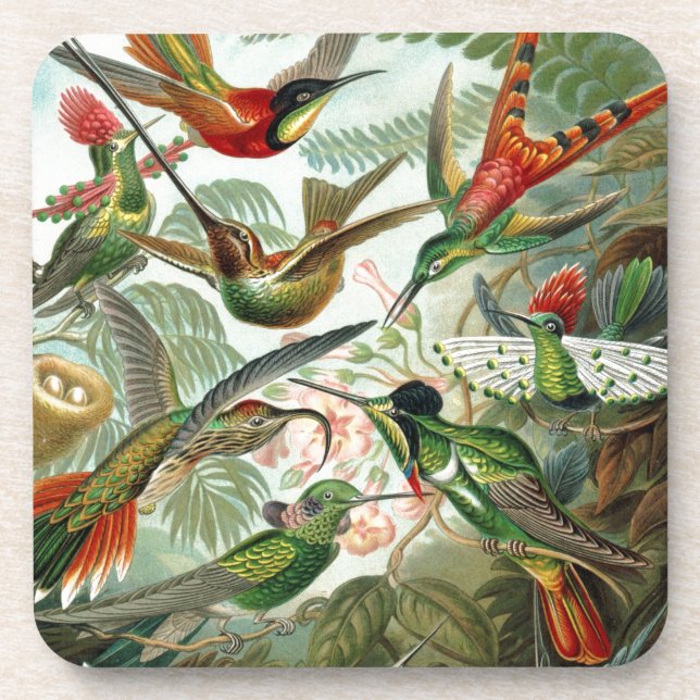Humming Birds Paradise Art Untersetzer (Vorderseite)
