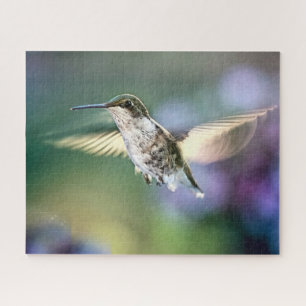 Hummingbird