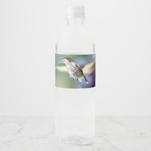 Hummingbird